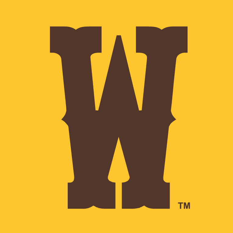 Wyoming Cowboys 2013-Pres Secondary Logo v3 iron on transfers for fabric